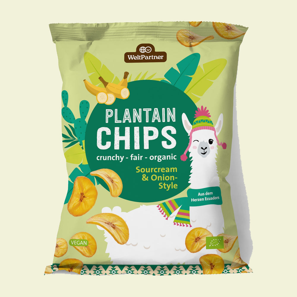 Plantain Chips, Sourcream & Onion-Style, bio, 90 g