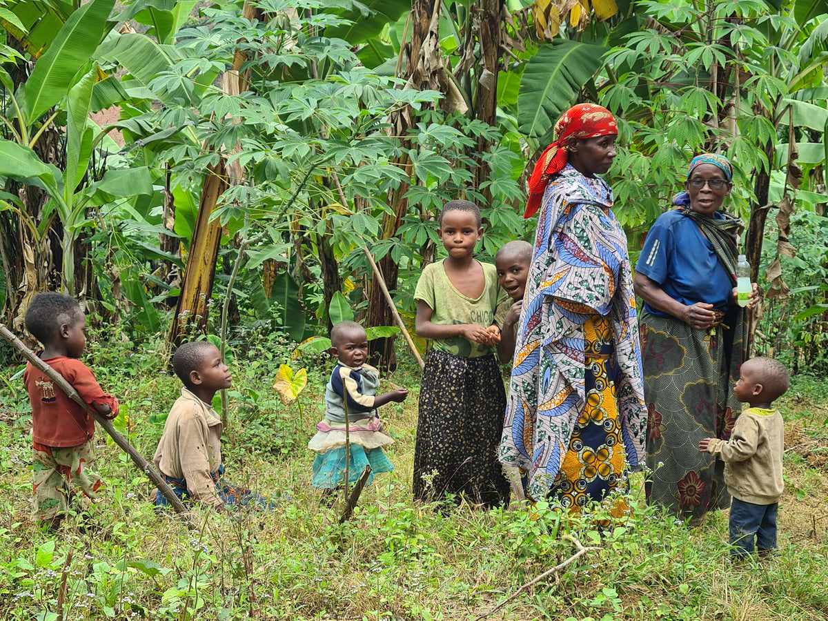COCOCA – Familien der COCOCA-Kooperative im satten Grün zwischen Bananenstauden in Burundi.