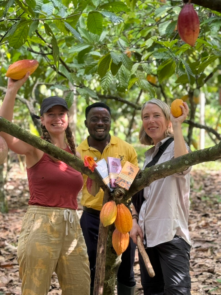 fairafric – Kakaoernte und Schokoladenproduktion von fairafric in Amanase, Ghana.